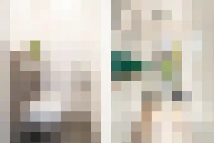 Terp 21 Alkmaar thumbnail 9