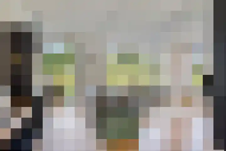 Terp 5 Kampen thumbnail 15