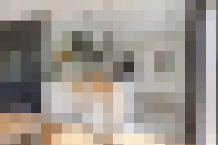 Terp 5 Kampen thumbnail 24