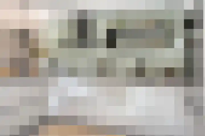 Terp 5 Kampen thumbnail 26