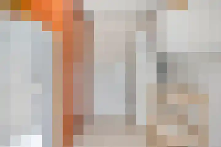 Terp 5 Kampen thumbnail 30