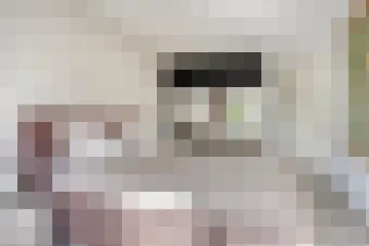Terp 5 Kampen thumbnail 33