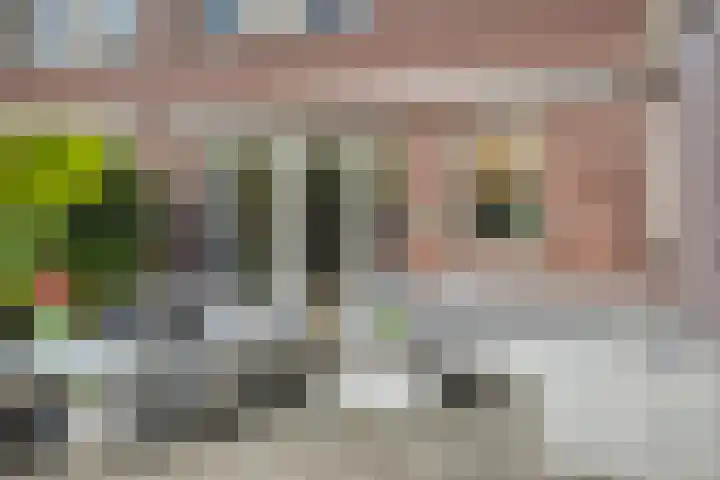 Terp 5 Kampen thumbnail 46
