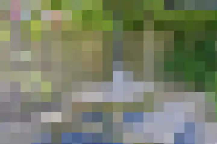Terp 5 Kampen thumbnail 48