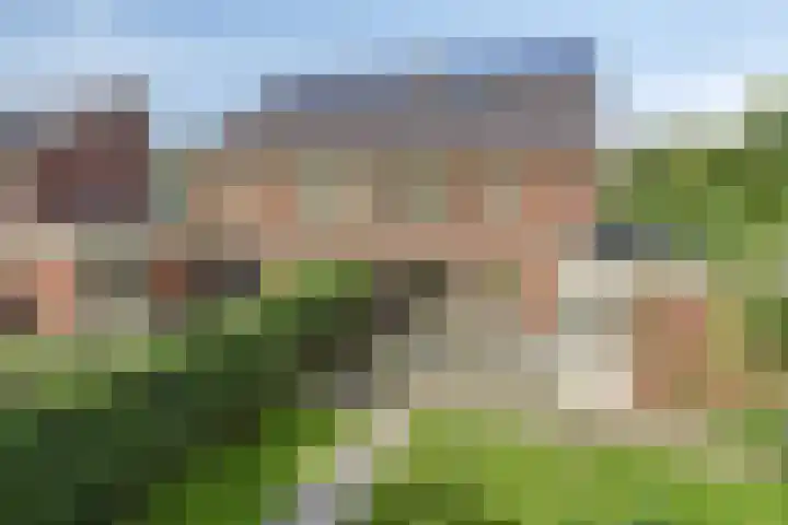 Terp 5 Kampen thumbnail 52