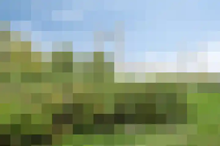 Terp 5 Kampen thumbnail 53