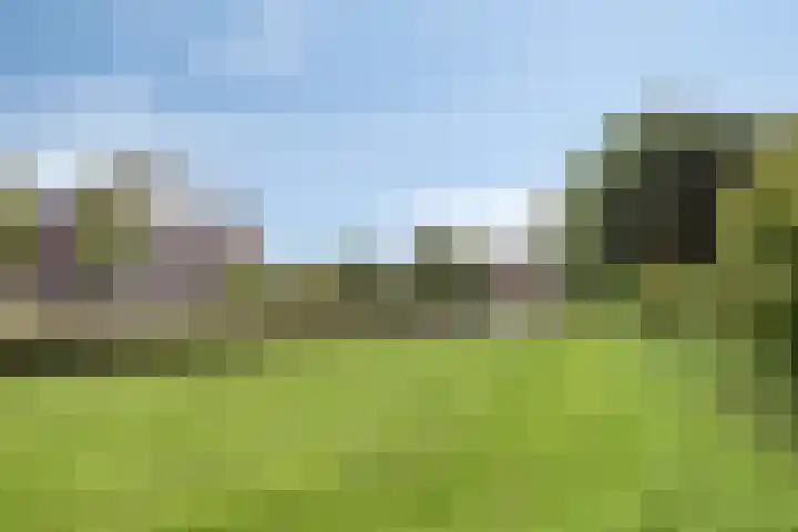 Terp 5 Kampen thumbnail 54