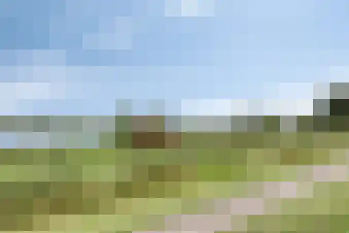 Terp 5 Kampen thumbnail 55