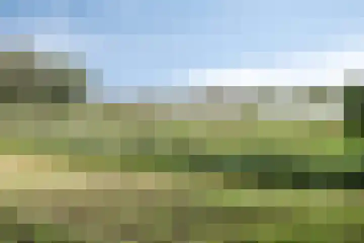 Terp 5 Kampen thumbnail 56