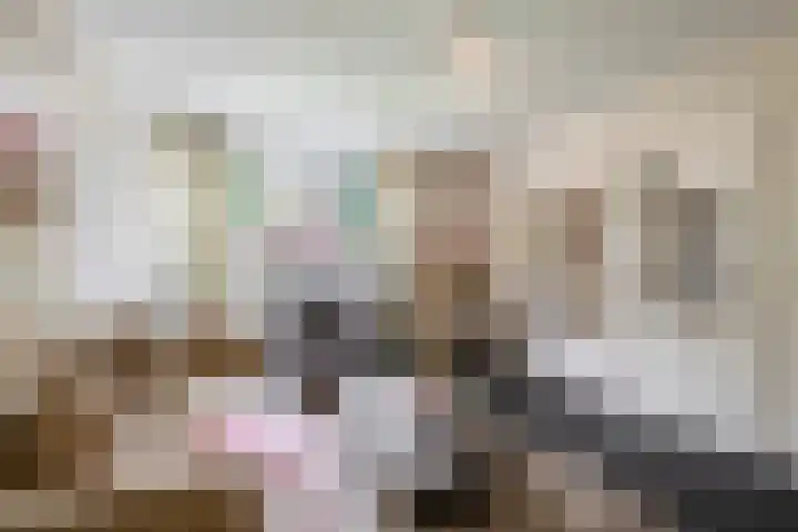 Terpeborch 5 Rosmalen thumbnail 23