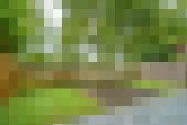 Terpmeent 5 Almere thumbnail 17
