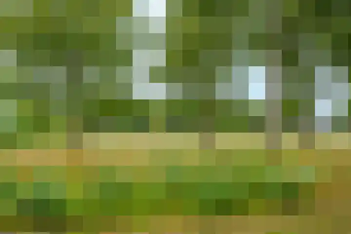 Terpmeent 5 Almere thumbnail 18