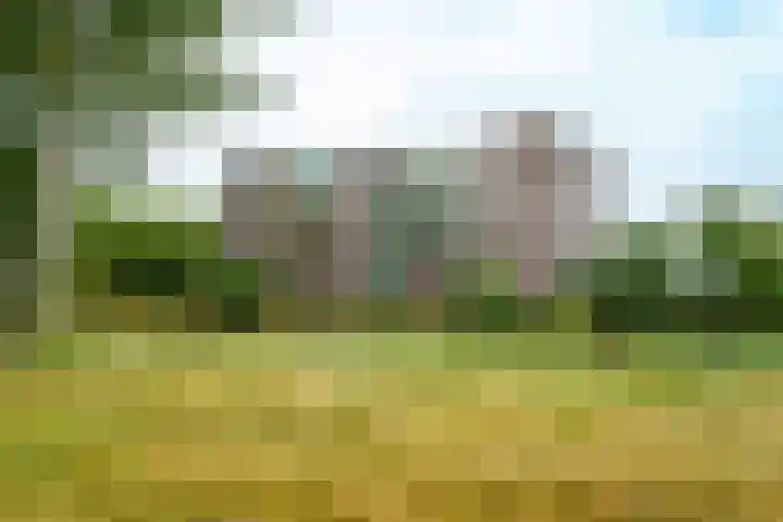 Terpmeent 5 Almere thumbnail 27
