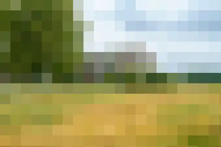 Terpmeent 5 Almere thumbnail 28