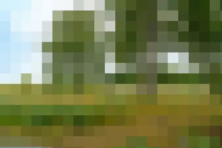 Terpmeent 5 Almere thumbnail 29
