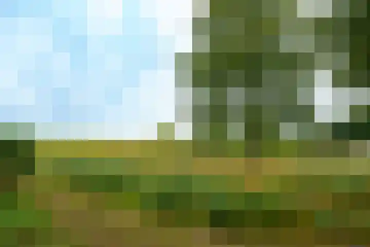 Terpmeent 5 Almere thumbnail 30