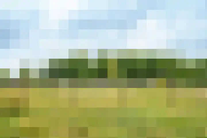 Terpmeent 5 Almere thumbnail 32