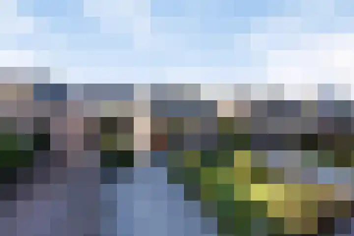 Terppaed 2 in Sexbierum