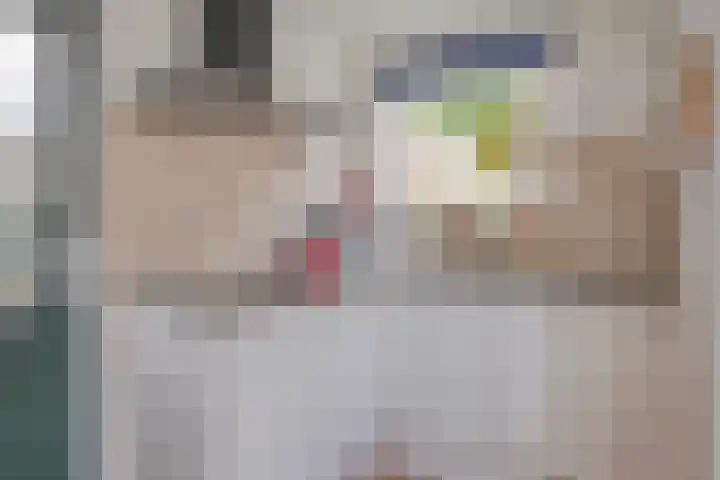 Terpsingel 11 Spijkenisse thumbnail 12