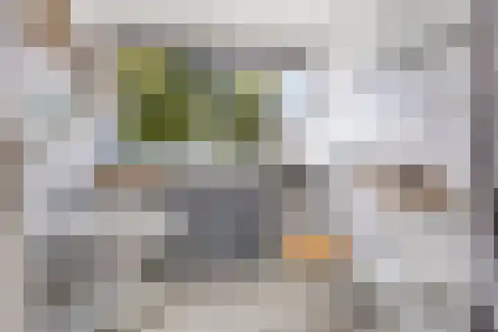 Terpsingel 11 Spijkenisse thumbnail 15
