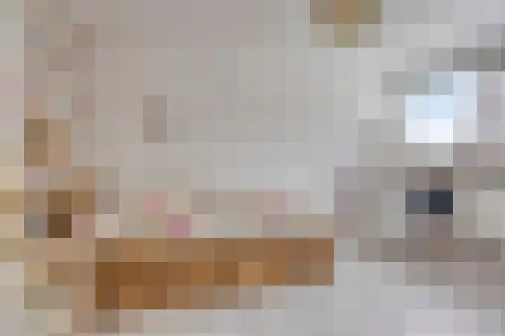 Terpsingel 11 Spijkenisse thumbnail 17