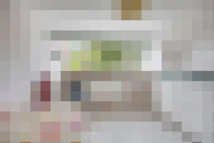Terpsingel 11 Spijkenisse thumbnail 19