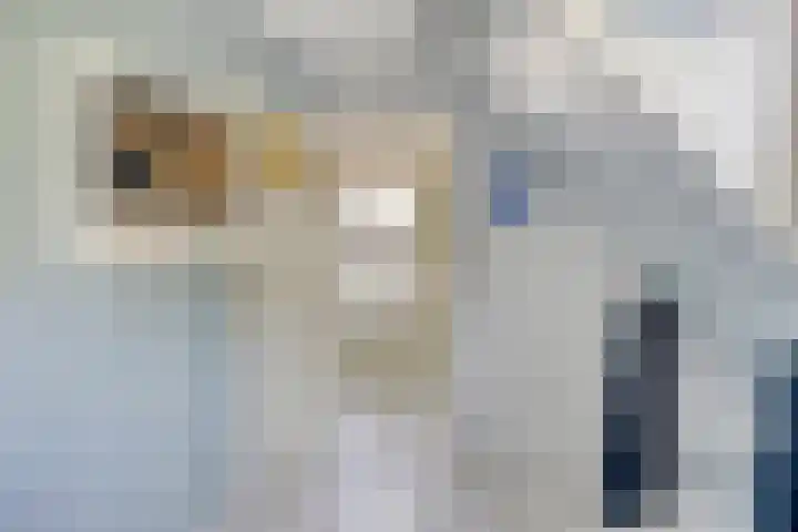 Terpsingel 11 Spijkenisse thumbnail 21