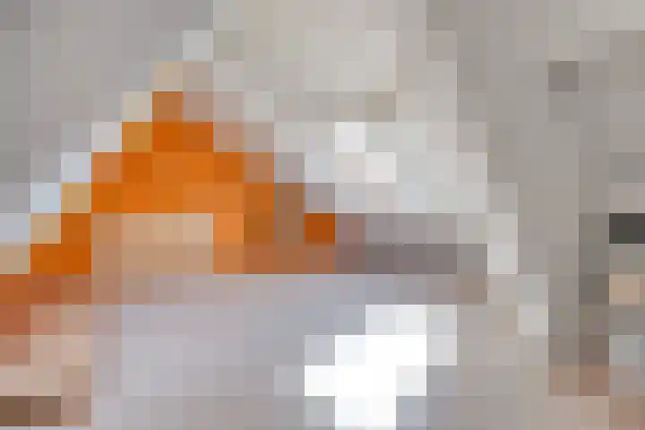 Terpsingel 11 Spijkenisse thumbnail 23