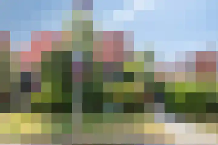 Terpsingel 11 Spijkenisse thumbnail 29