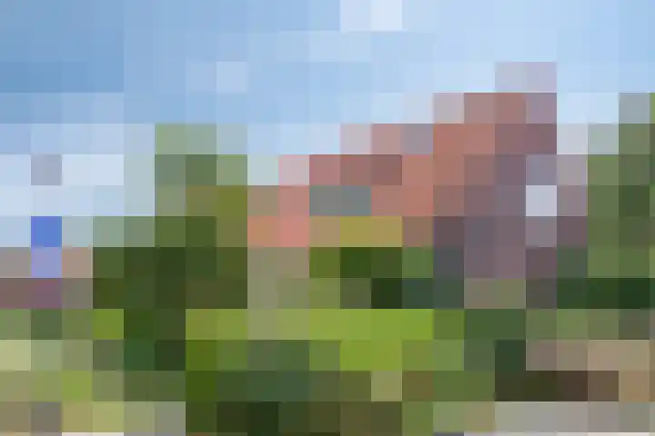 Terpsingel 11 Spijkenisse thumbnail 31