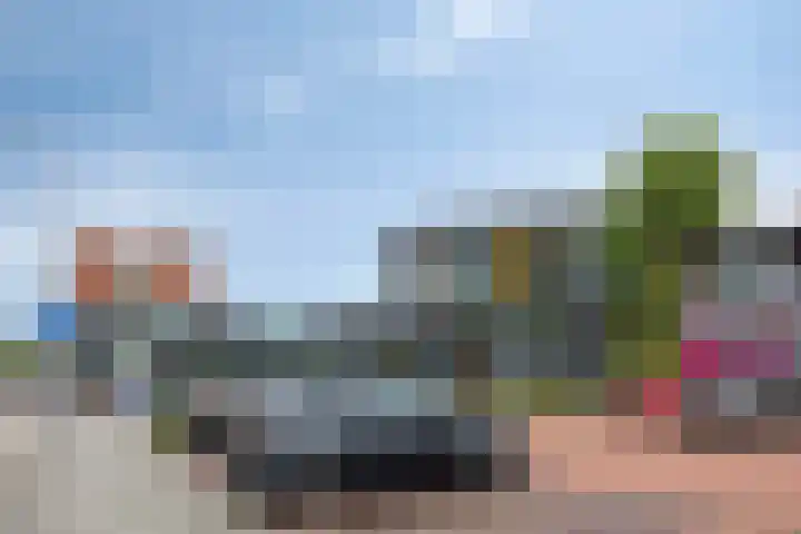 Terpsingel 11 Spijkenisse thumbnail 33