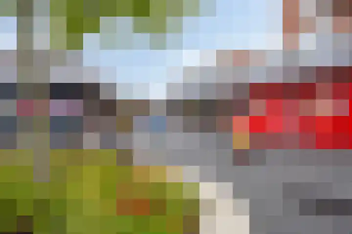 Terpsingel 11 Spijkenisse thumbnail 34