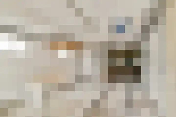 Terpsingel 5 Spijkenisse thumbnail 19