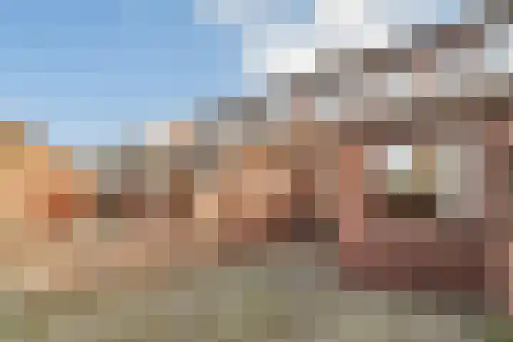 Terpsingel 5 Spijkenisse thumbnail 20