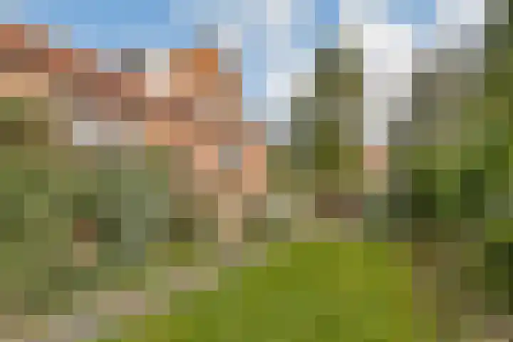 Terpsingel 5 Spijkenisse thumbnail 21