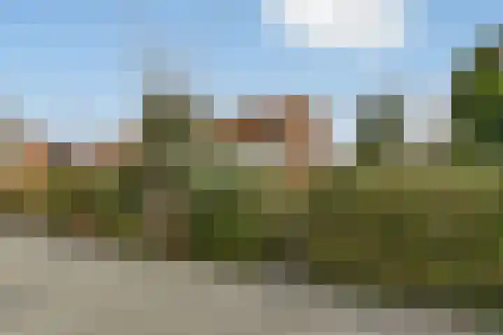 Terpsingel 5 Spijkenisse thumbnail 24