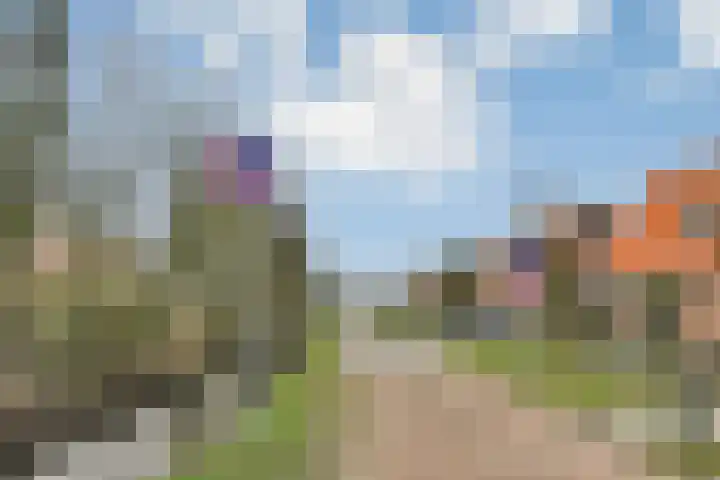 Terpsingel 5 Spijkenisse thumbnail 25