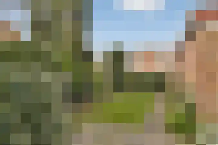 Terpsingel 5 Spijkenisse thumbnail 4