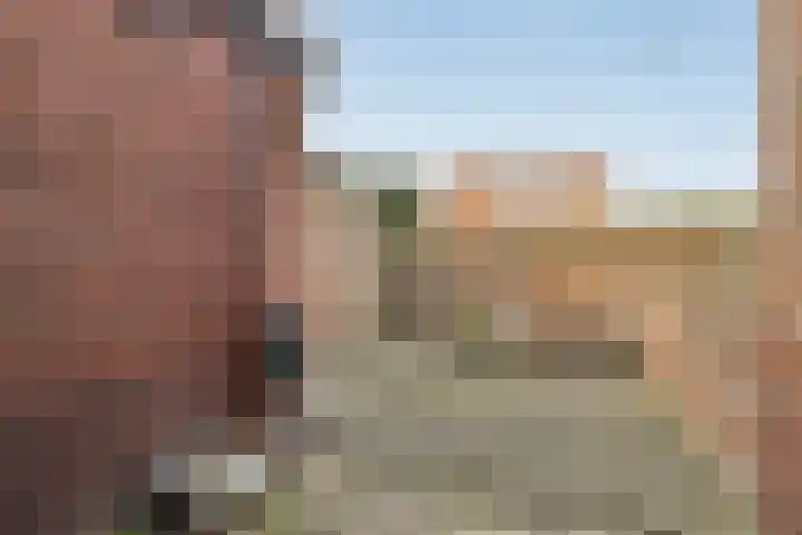 Terpsingel 5 Spijkenisse thumbnail 5