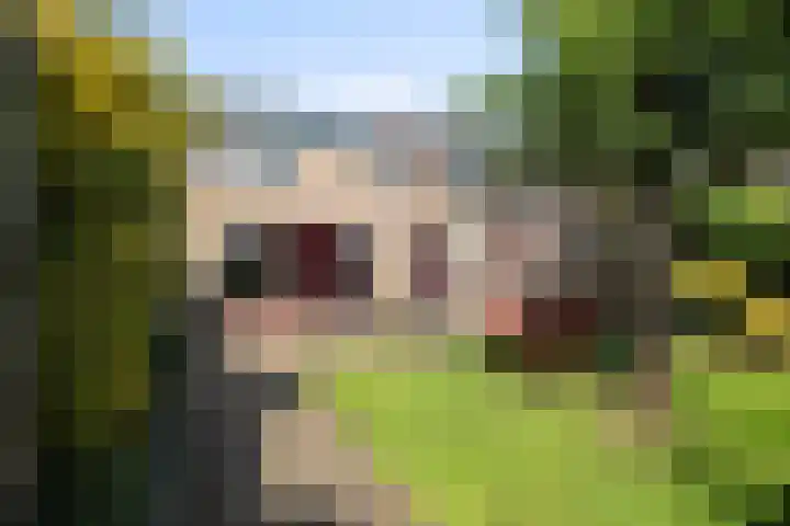 Terpstraat 41 Wieringerwerf thumbnail 29
