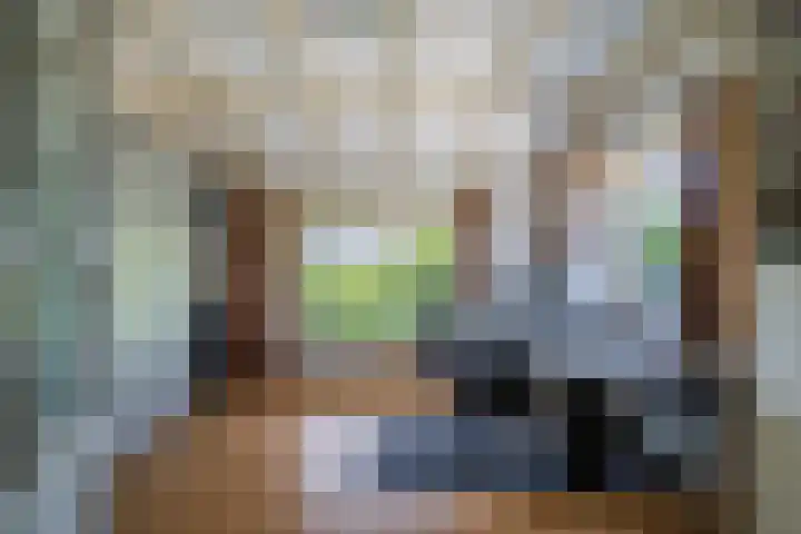 Terpstraat 6 Groessen thumbnail 21