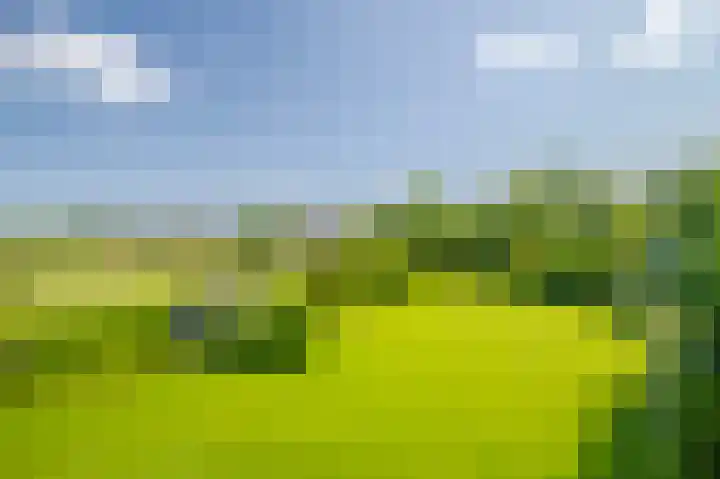 Terpstraat 6 Groessen thumbnail 46