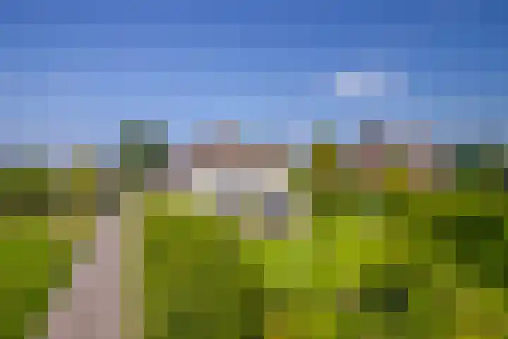 Terpstraat 6 Groessen thumbnail 5