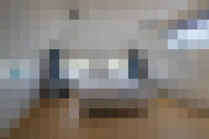 Terpstraat 6 Groessen thumbnail 55