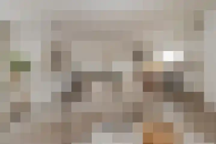 Terpweg 18 Heerde thumbnail 30