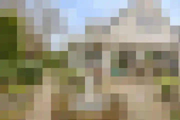Terpweg 18 Heerde thumbnail 36