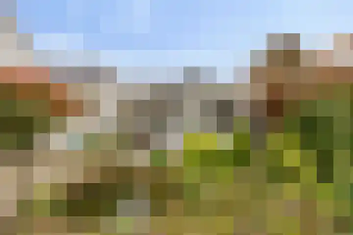 Terpweg 18 Heerde thumbnail 37