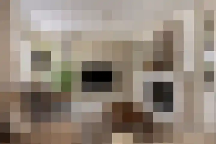 Terpweg 18 Heerde thumbnail 5