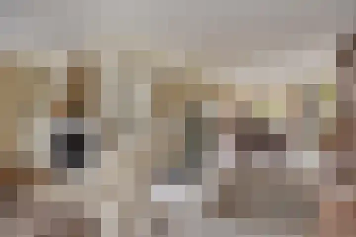 Terpweg 18 Heerde thumbnail 6