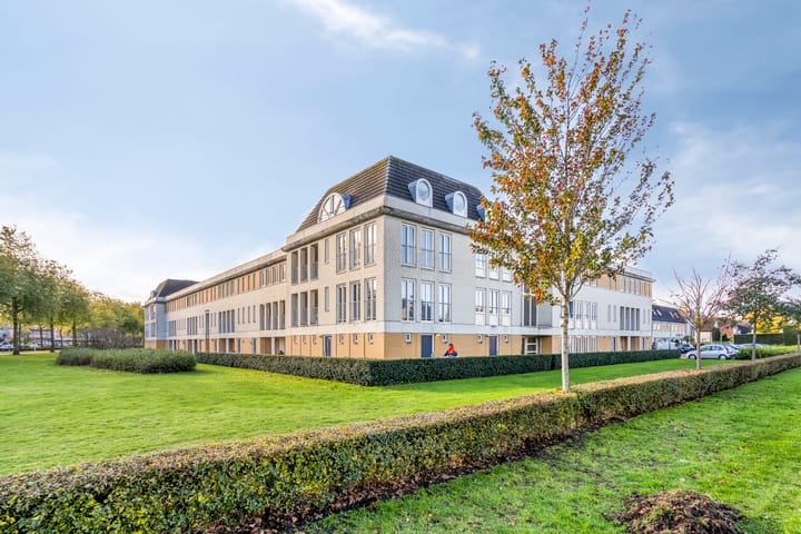 Terrashei 36 in Best foto